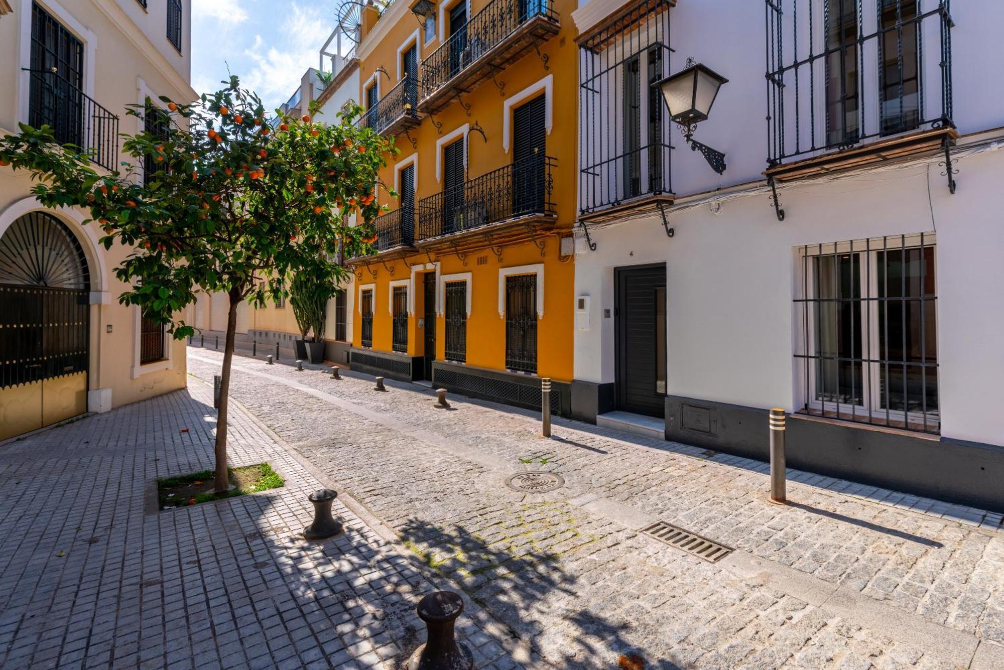 G4 Brand New San Bernardo Terraza Seville