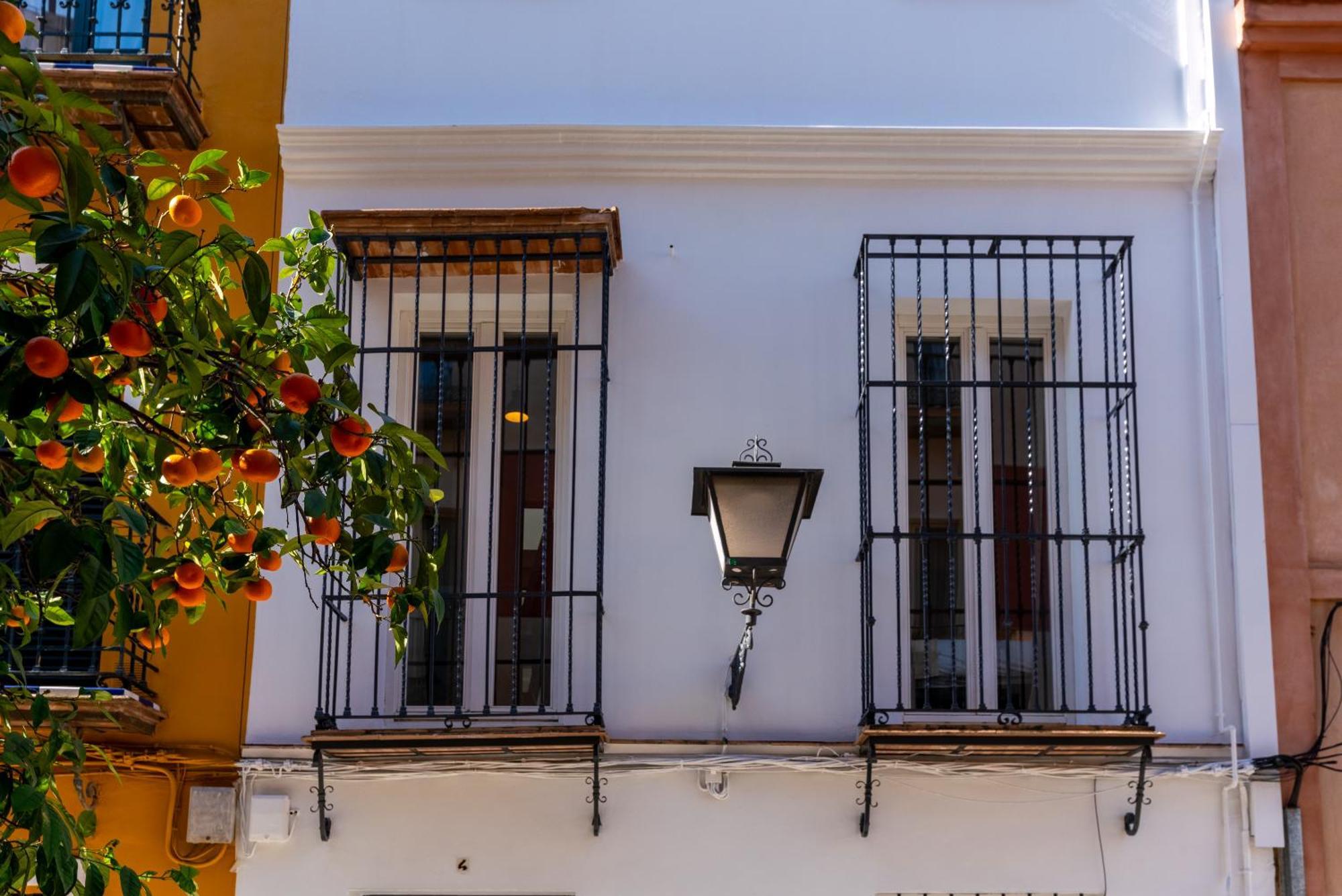 G4 Brand New San Bernardo Terraza *